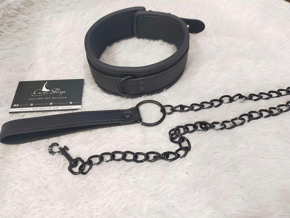 Thumbnail: Collar & leash