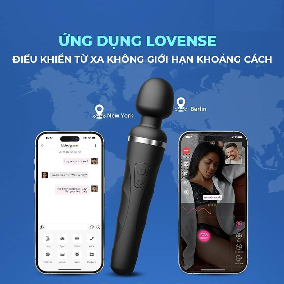 chày rung domi