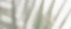 Nurture-Quote-Background.webp