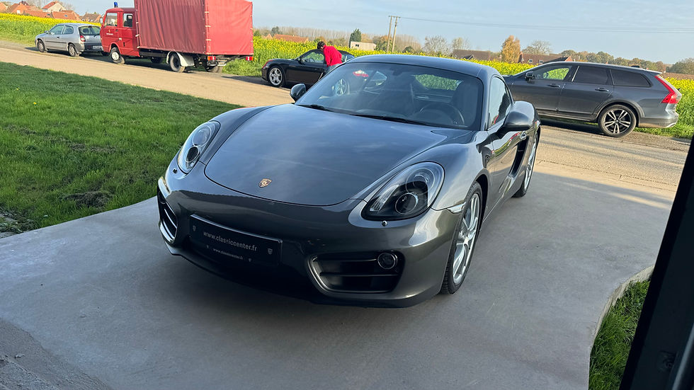 Miniature : Porsche 981 Cayman 2013