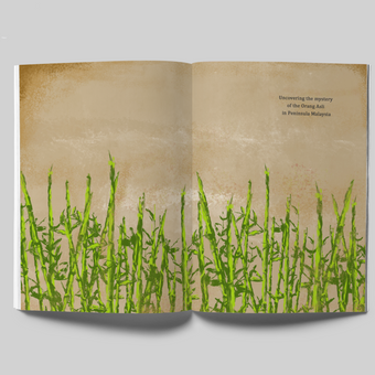 A5 Magazine MockUp  second page.png