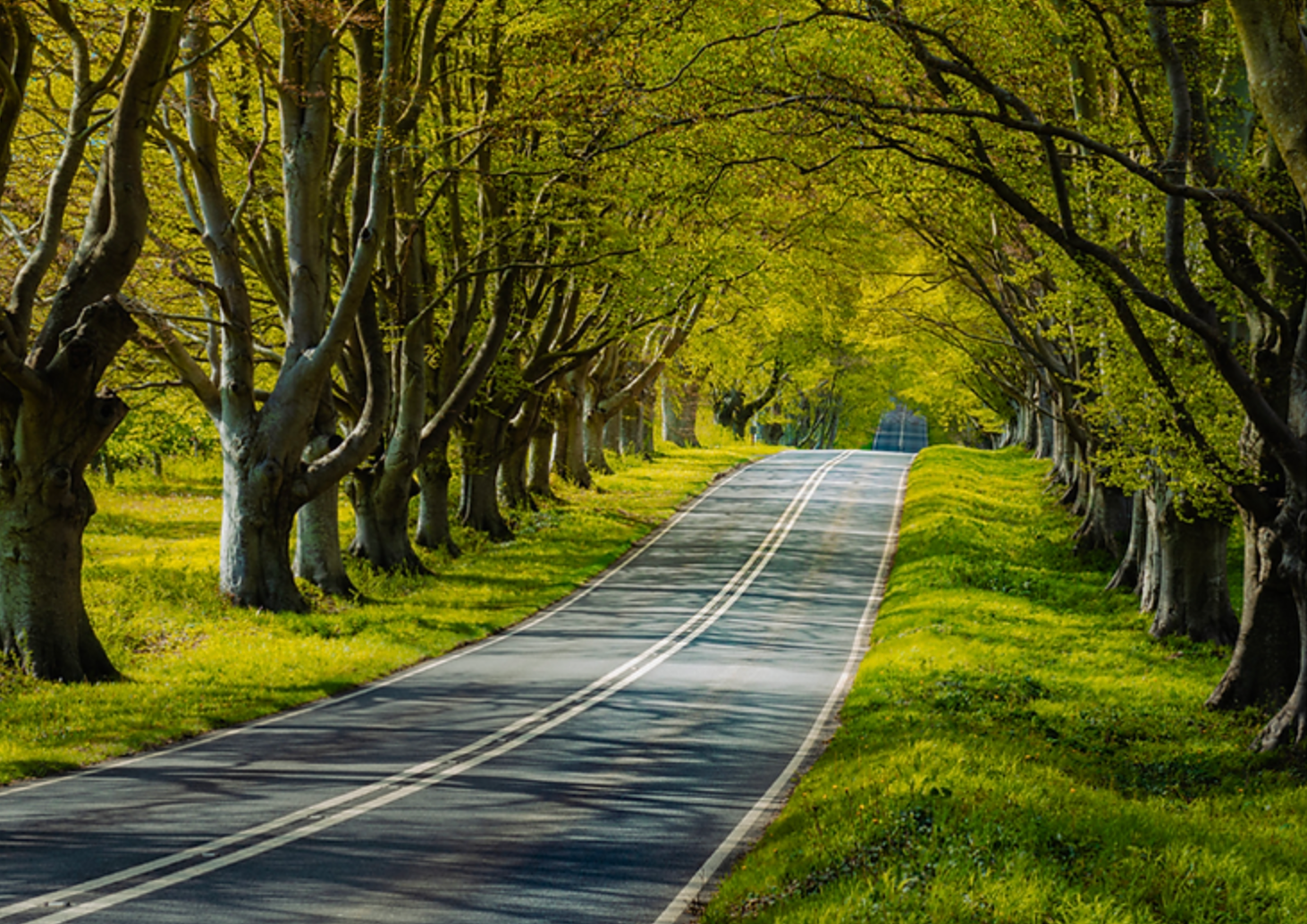 Greetings Card | Your Future is ahead W7801