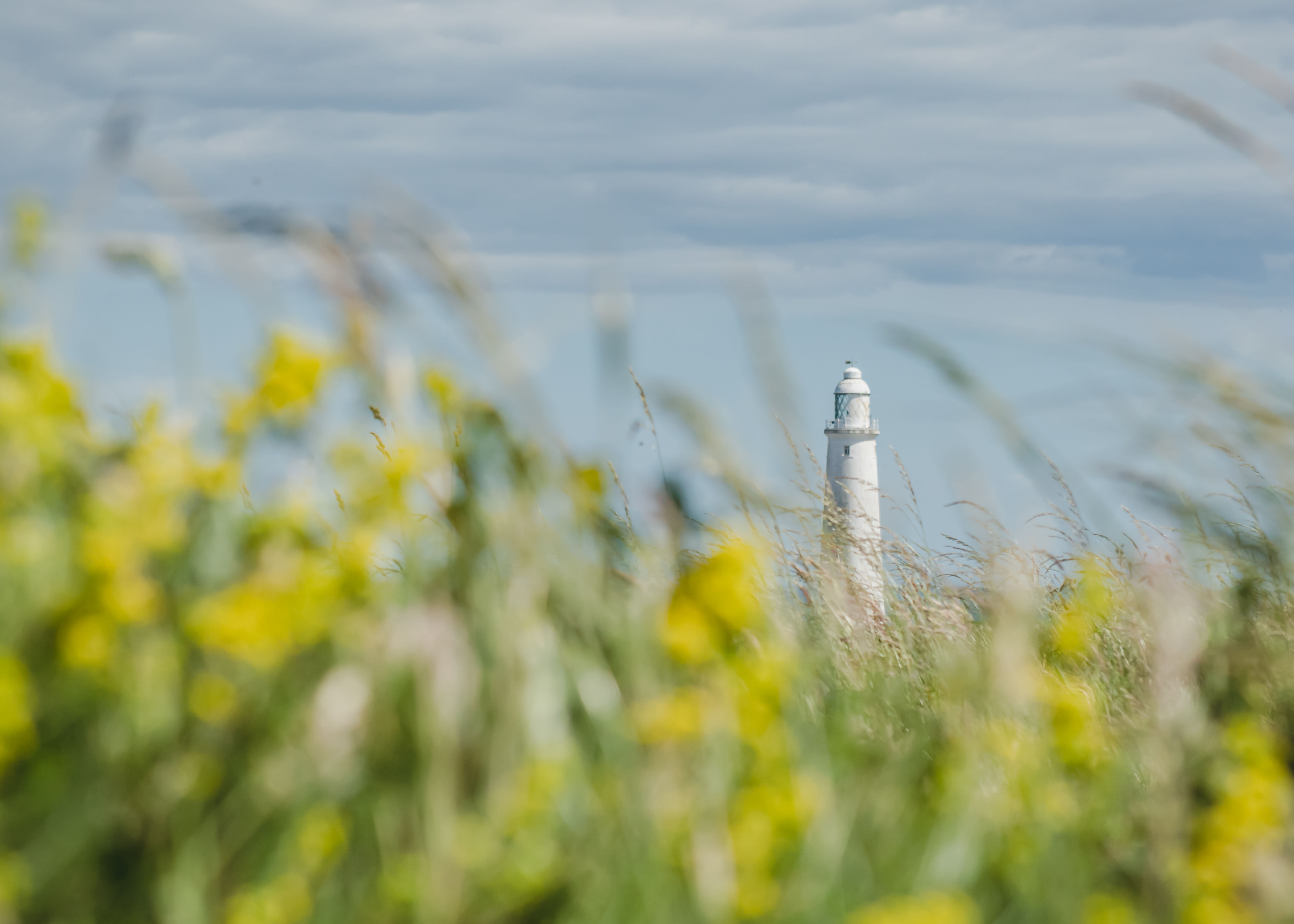 Summer breeze at St Mary's