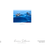 Thumbnail: Greetings Card | Dolphins D8914