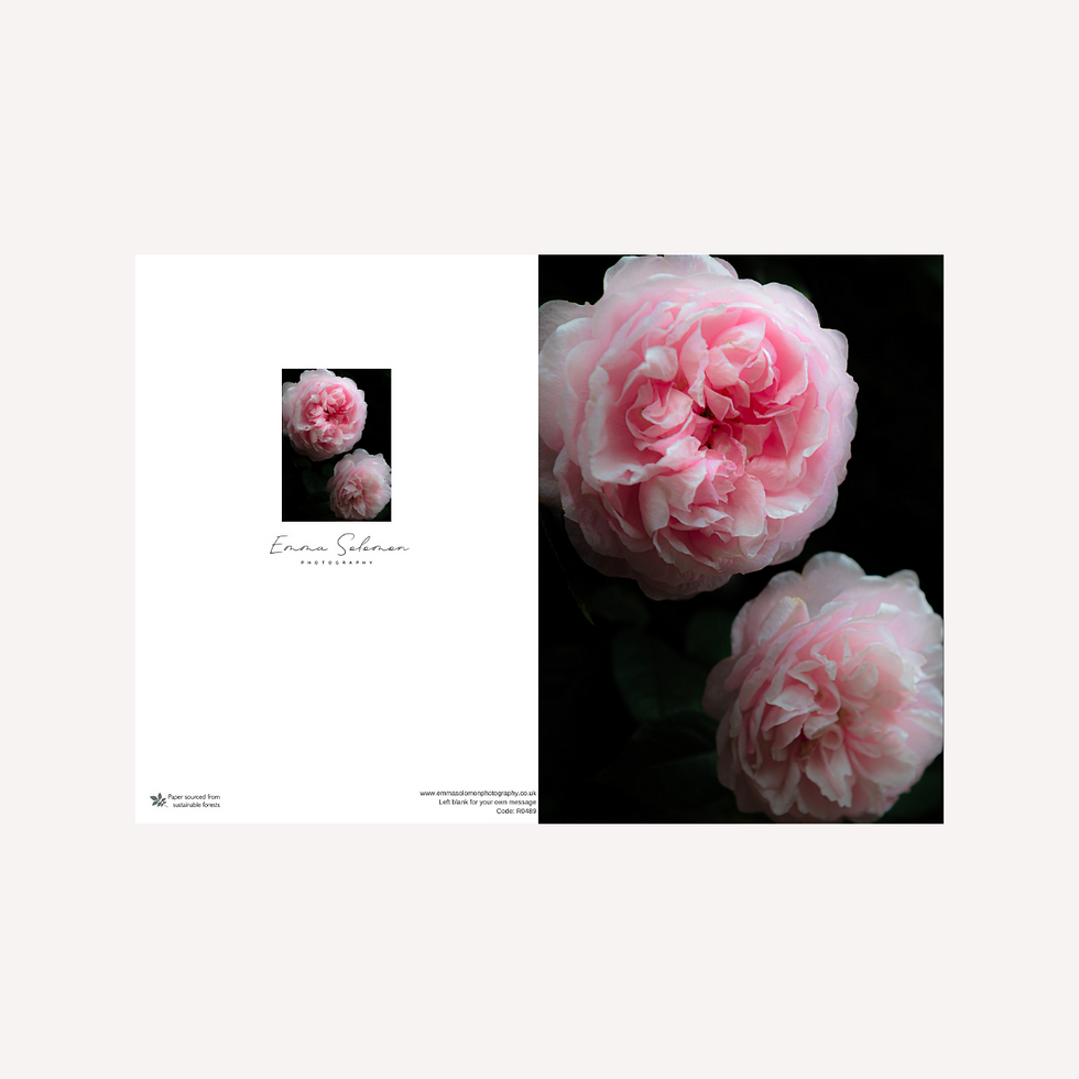 Thumbnail: Greetings Card | In Full Bloom/R0489