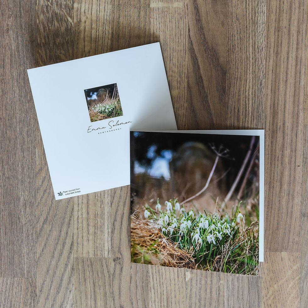 Thumbnail: Greetings Card | Snowdrops S5436