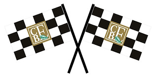 CBE Flags Logo.jpg.jpeg