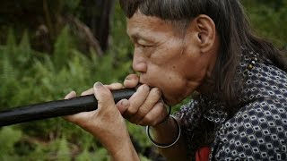 May I Present to You a Carbon Neutral Country: The Kingdom of Bhutan