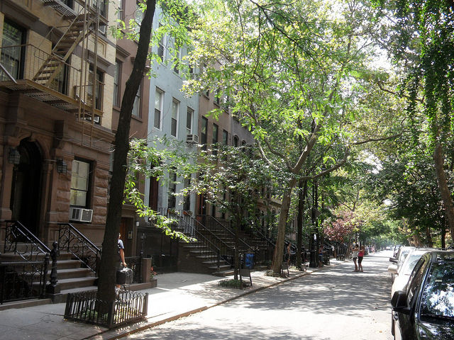 tree-lined street