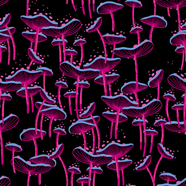 Ruby Star Glow Garden RS2115 17