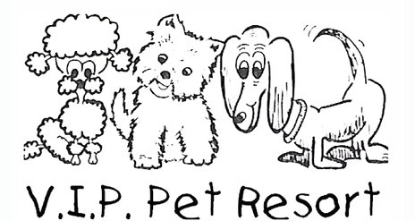 VIPlogo_transparentblack (1).png