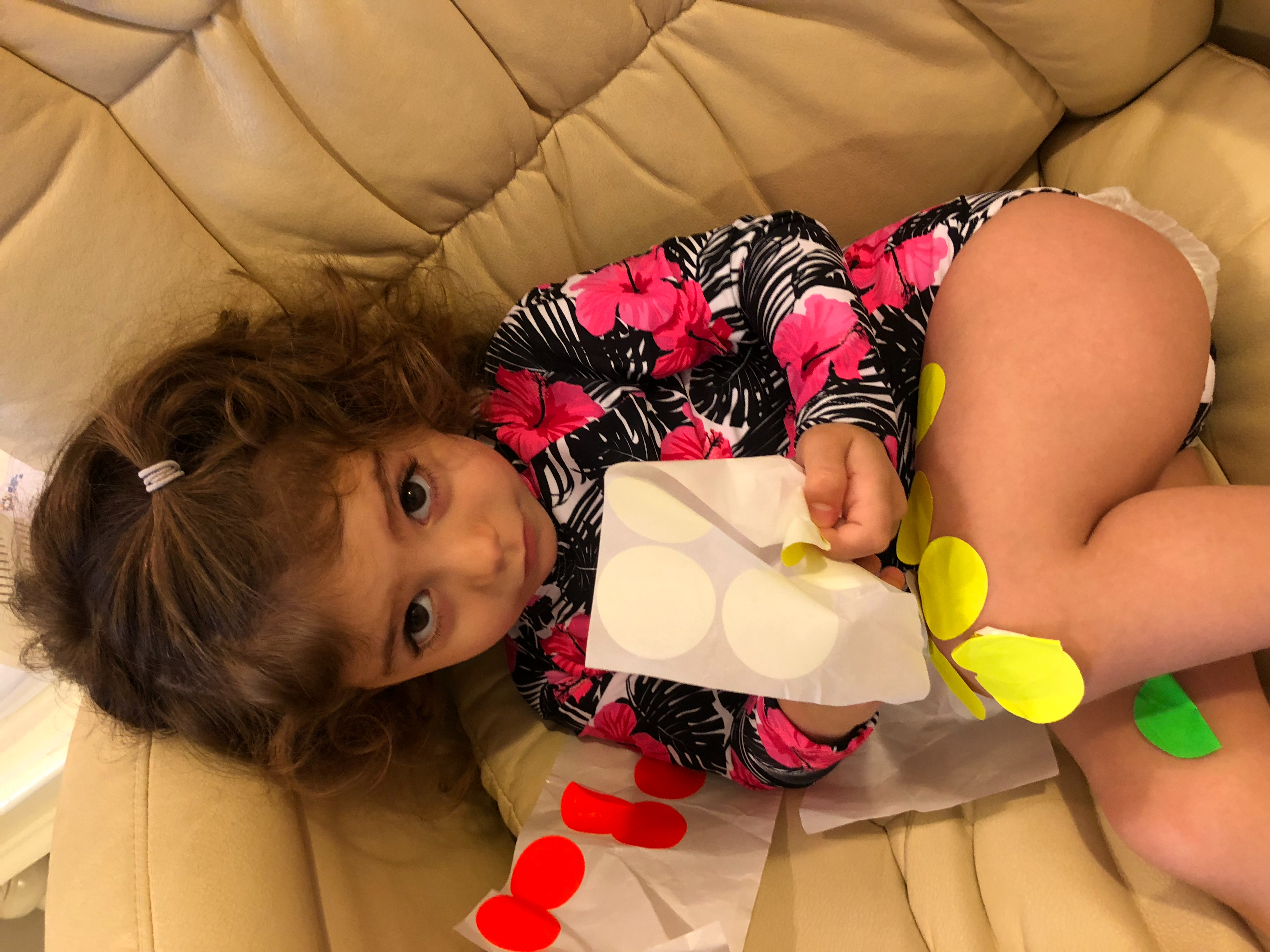 תמונת הסופר/ת: Merav Sholder Bouganim