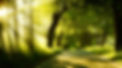wallpaper-432080.jpg