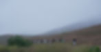 Reach-Academy-for-Young-Men-morning-hike.jpg