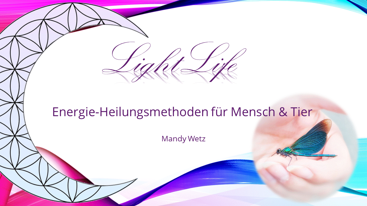Logo1.gif