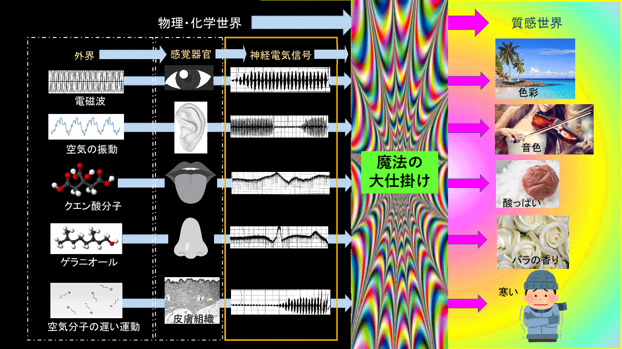 愛から見た神様　クオリア図_.gif