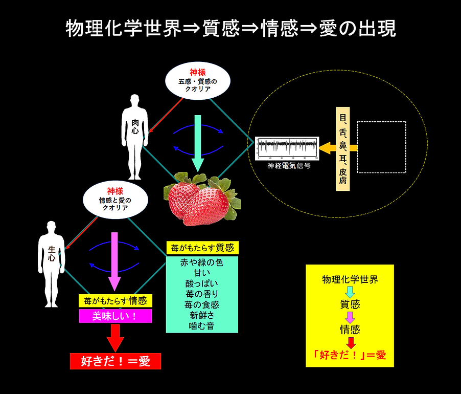 クオリアの発現過程3.png