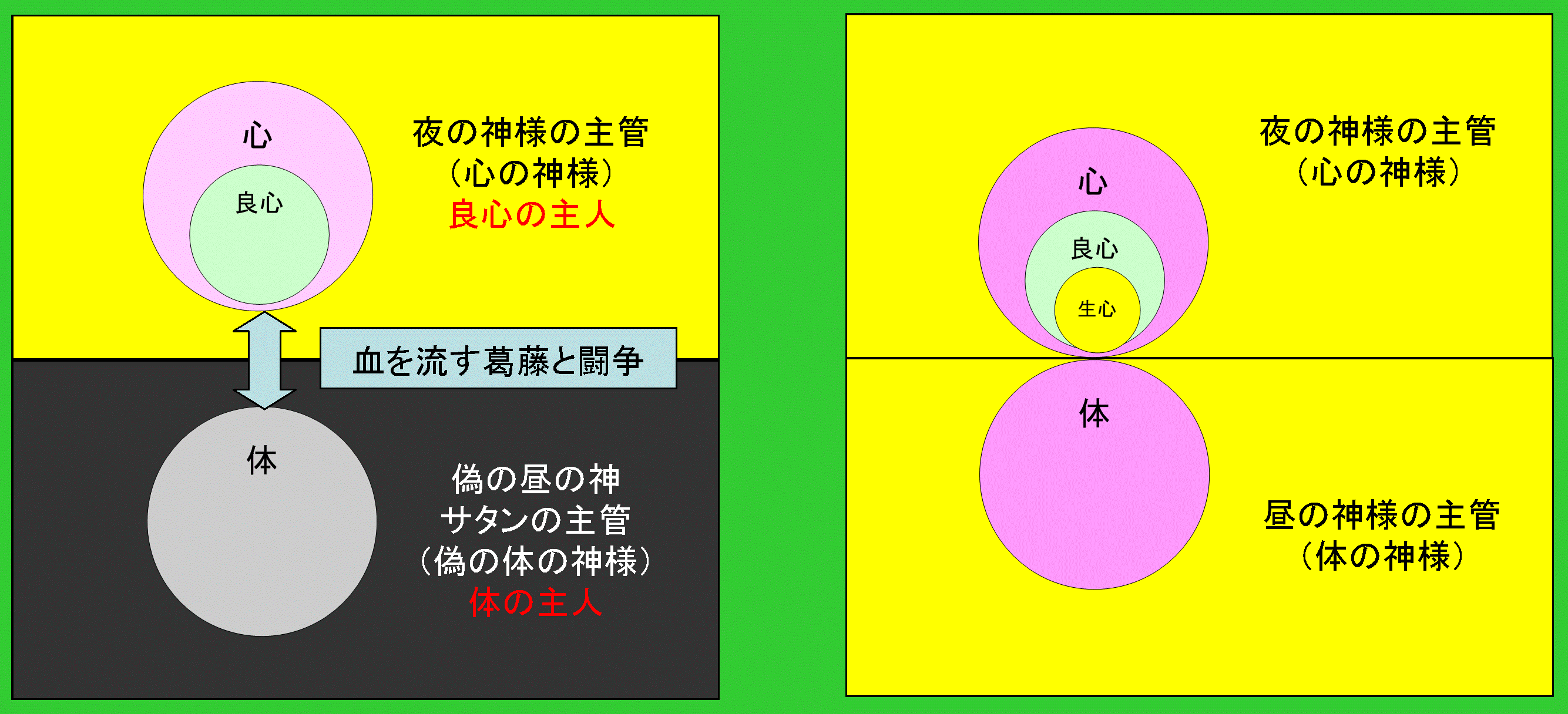 人間の心と体��の分裂の真の原因