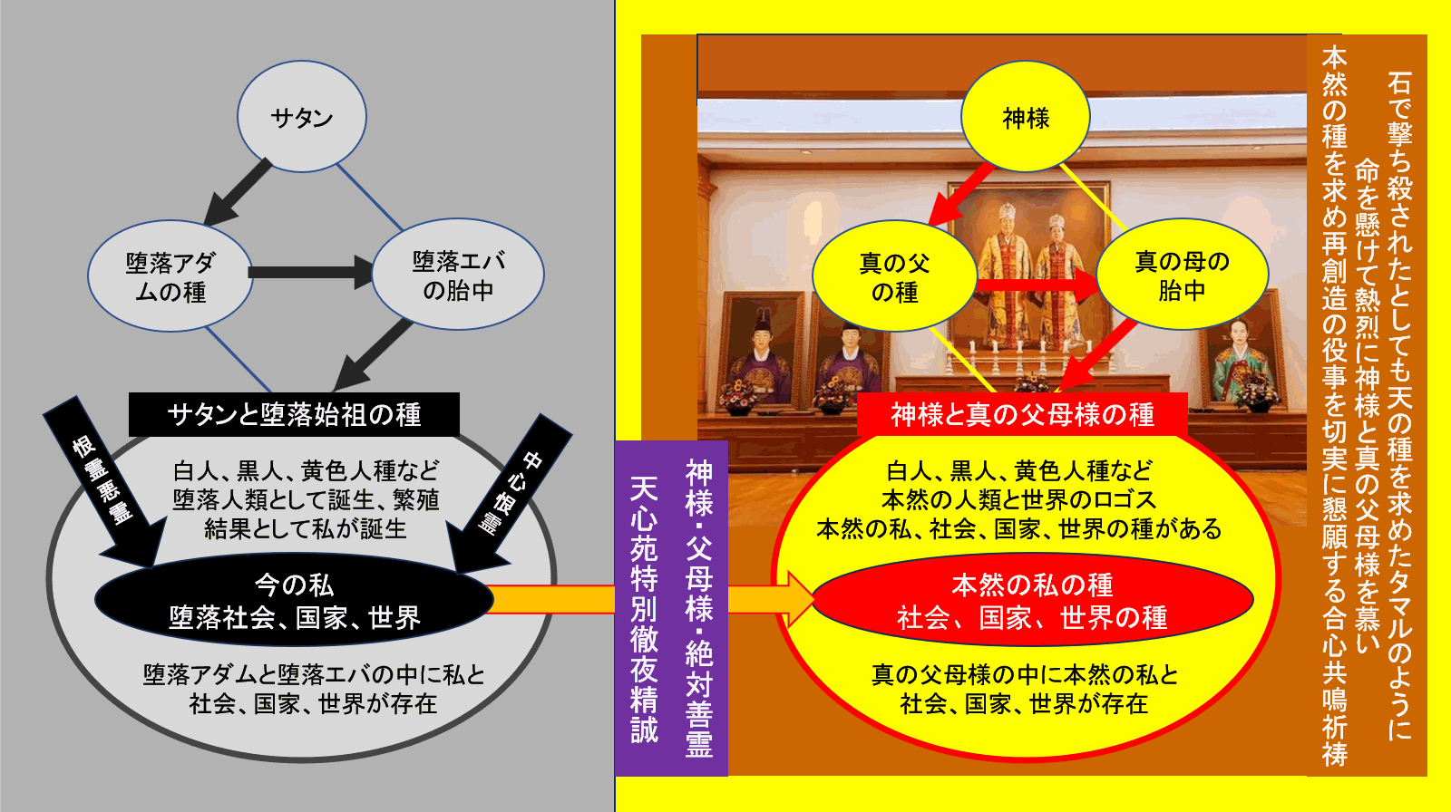 天心苑での再創造gif.gif