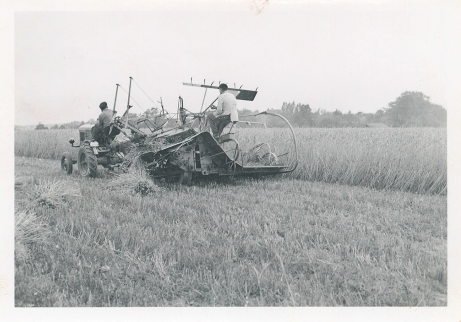 Heißener Hof – Entstehungsgeschichte