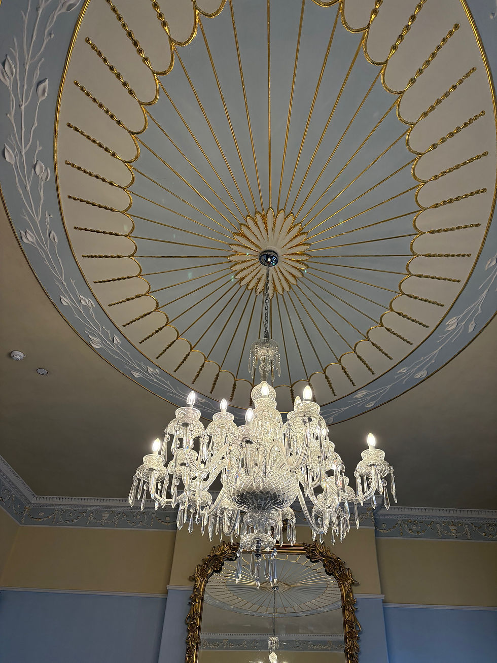 Photograph of the grand ceiling in the Teachers Club in Dublin City the location of the third formal launch of 'A Magdalene Rose'. The ceiling demonstrates the finest georgian oval decorative plaster work with a crystal chandelier at its centre