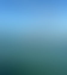 Introducing 'Patrick Cleary' from my book, 'A Magdalene Rose'