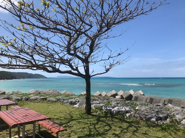 やんばるに来て初めて見た海