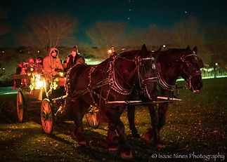 community-tree-lighting-b.jpg