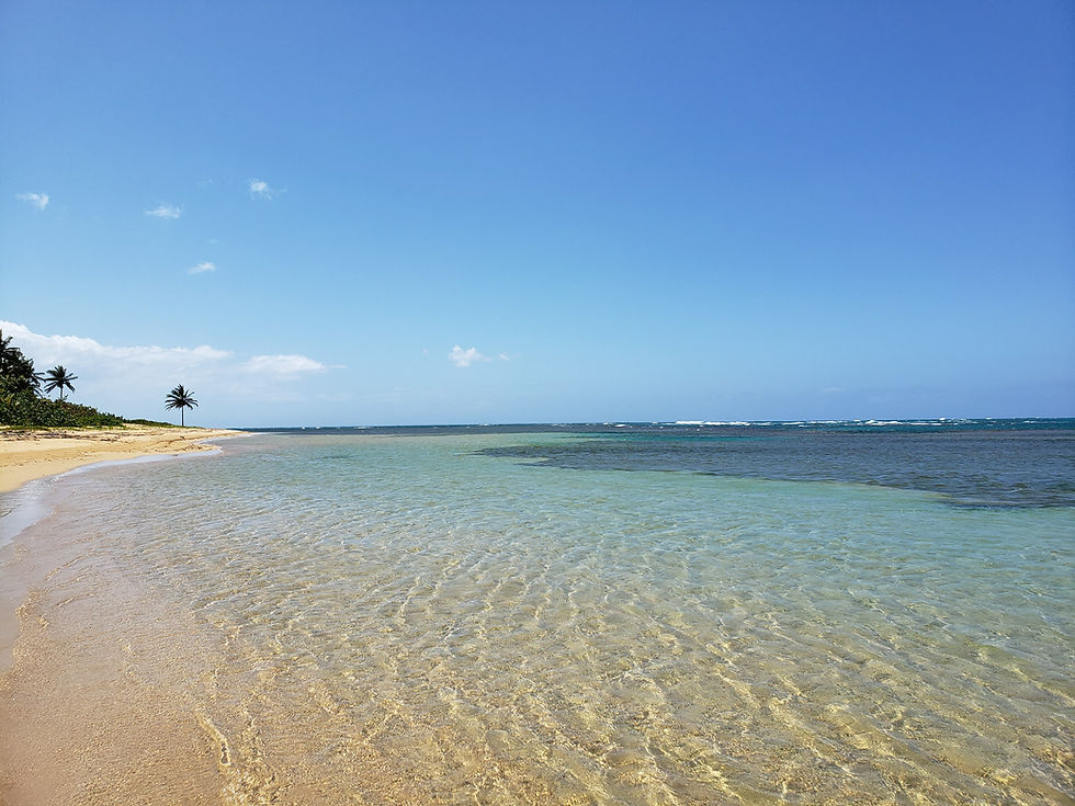randonnee.pedestre.plage.republique.dominicaine.greengordtours.jpg