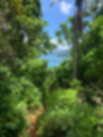 randonnees.pedestres.republique.dominicaine.playa.ermitaño.greengordtours