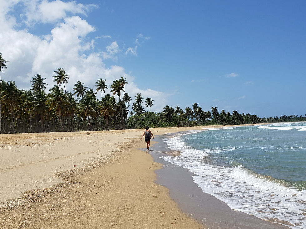 randonnee.pedestre.plage.republique.dominicaine.greengordtours.jpg