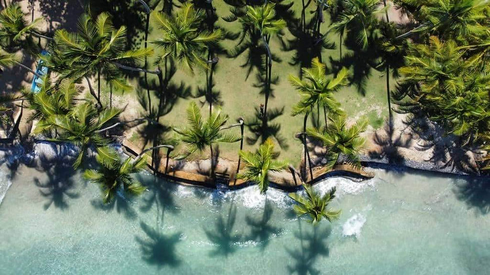 randonnee.pedestre.plage.republique.dominicaine.greengordtours