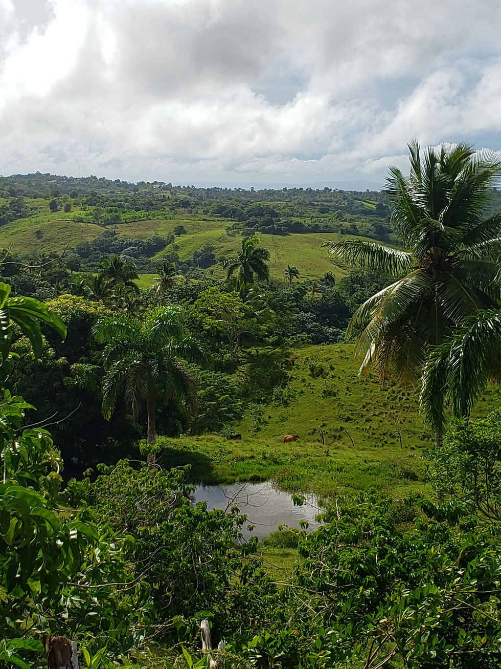 senderismo.republica.dominicana.greengordtours