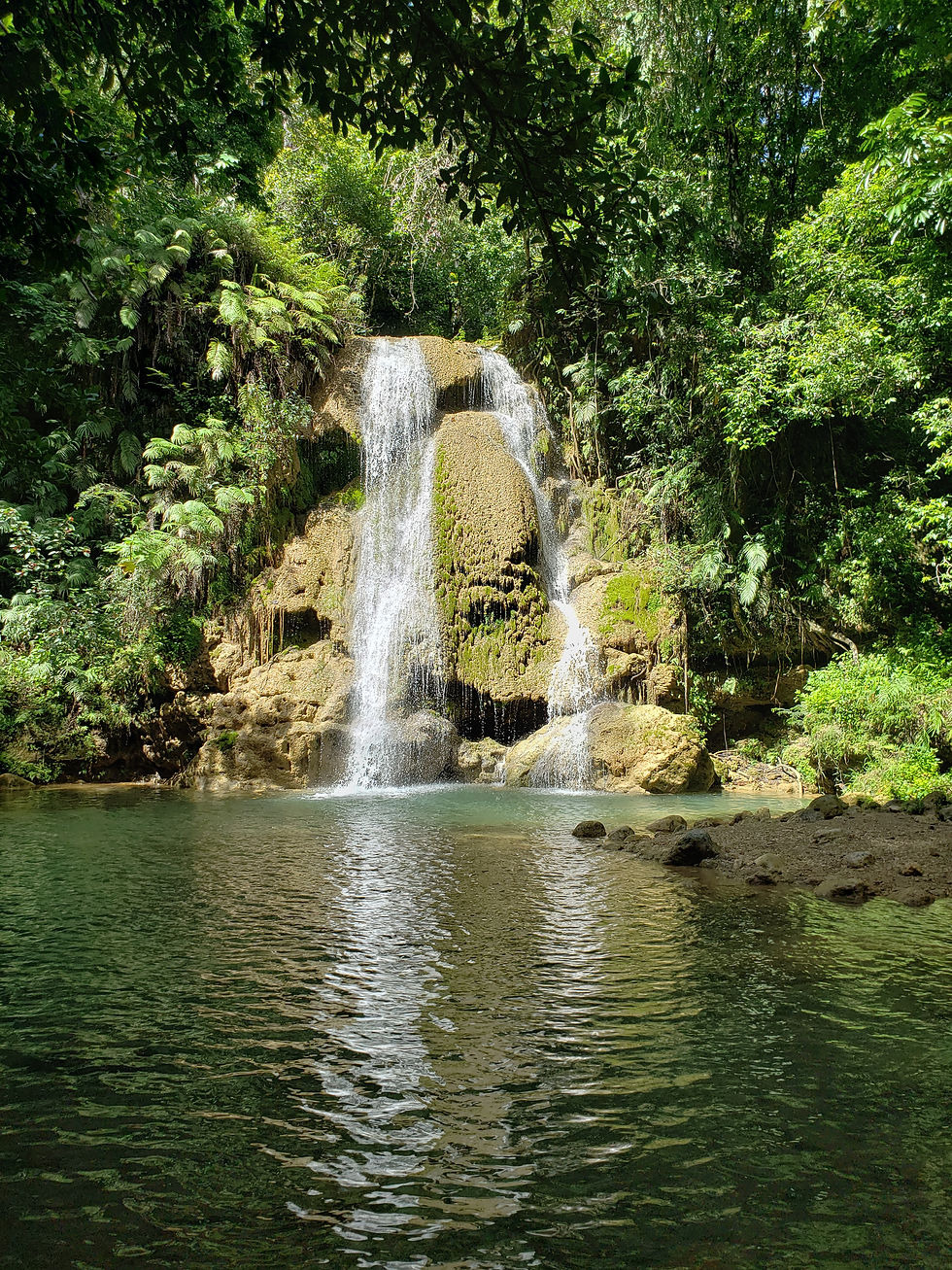 randonnee.pedestre.republique.dominicaine.cascade.limon.greengordtours.jpg