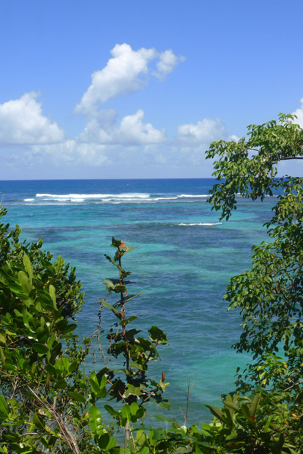 hiking.dominican.republic.greengordtours.jpg
