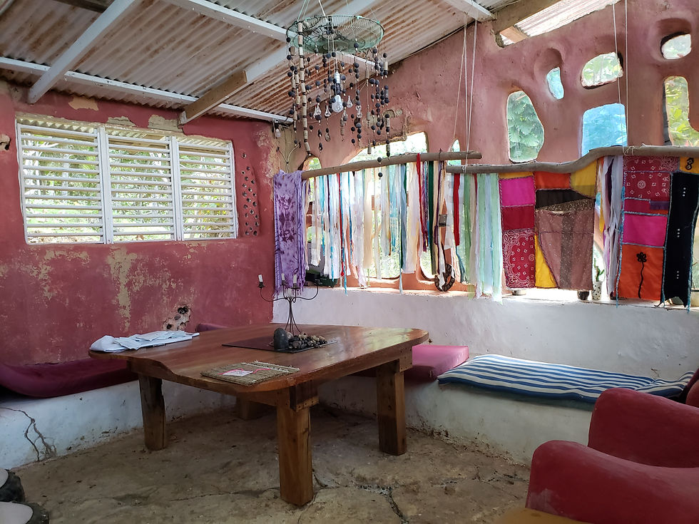 permaculture.bioconstruction.las.terrenas.republique.dominicaine.greengordtours (32)