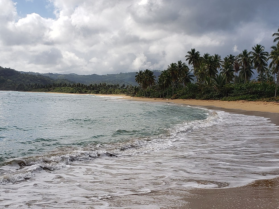 randonnee.pedestre.plage.republique.dominicaine.greengordtours.jpg