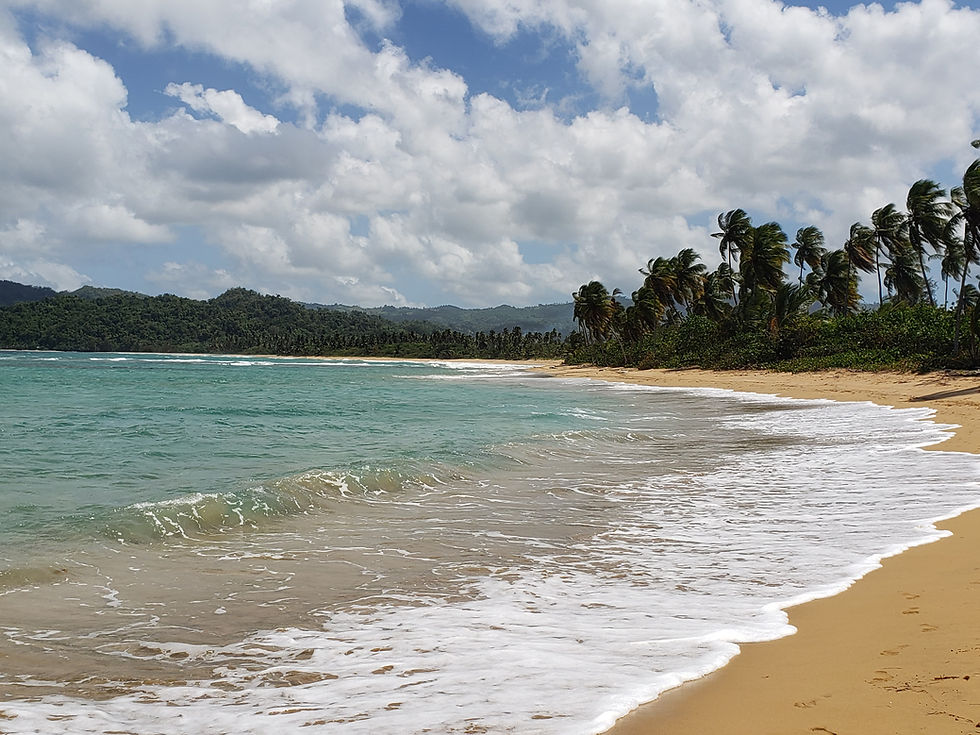 randonnee.pedestre.plage.republique.dominicaine.greengordtours.jpg