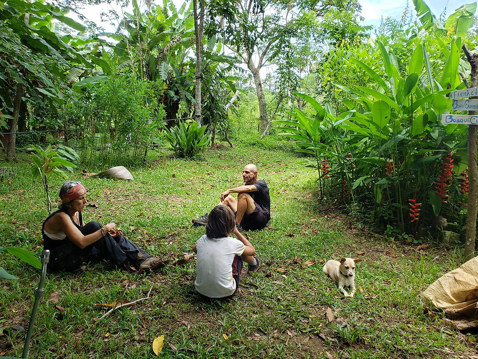 permaculture.bioconstruction.las.terrenas.republique.dominicaine.greengordtours (24)