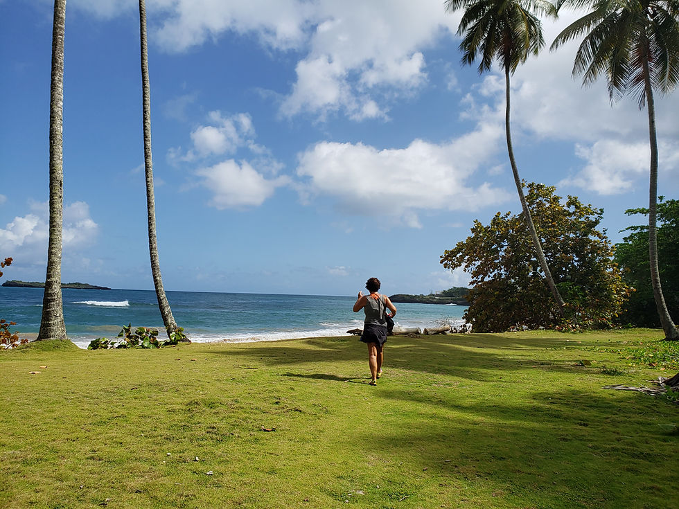 randonnee.pedestre.plage.republique.dominicaine.greengordtours.jpg