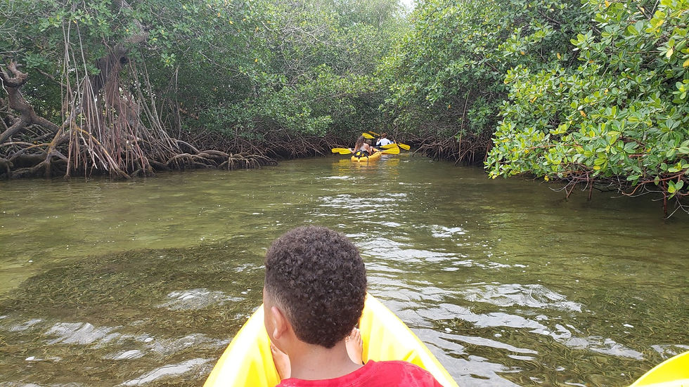 kayak.paddle.lasterrenas.excursion.greengordtours.jpg