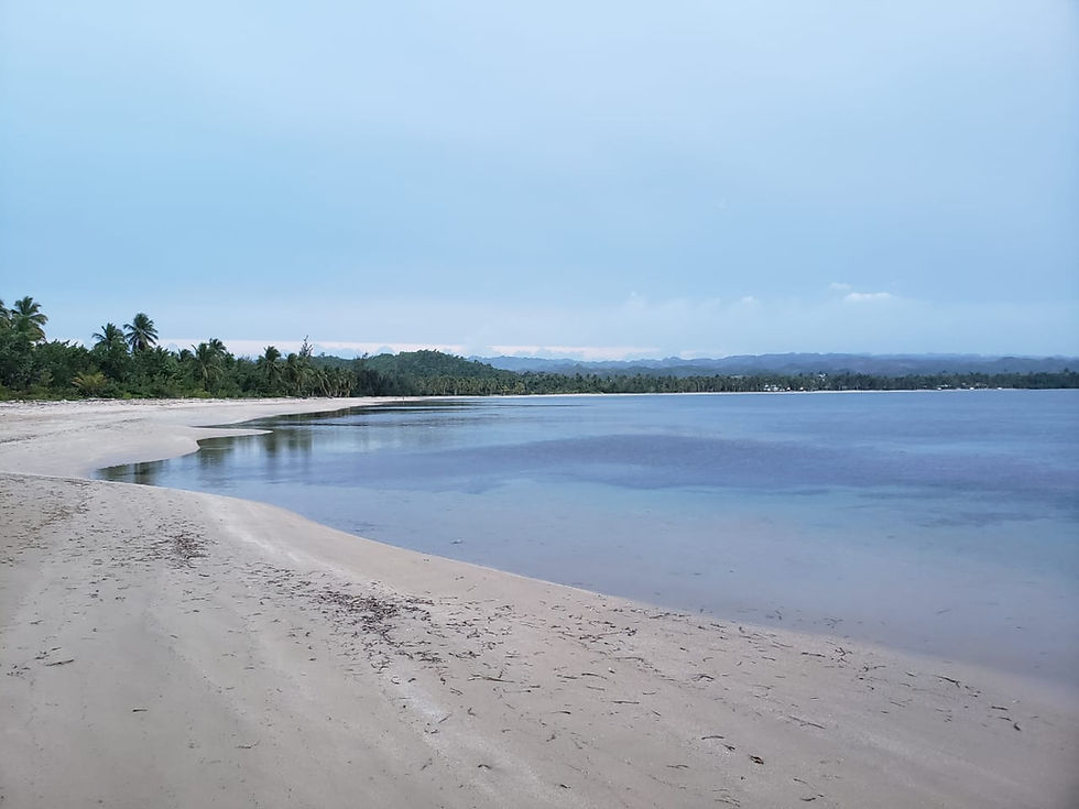 randonnee.pedestre.plage.republique.dominicaine.greengordtours.jpg
