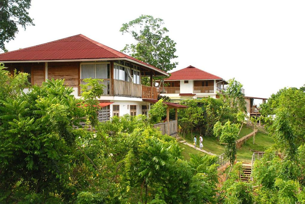 Ecolodge.randonnee.pedestre.republique.dominicaine.greengordtours