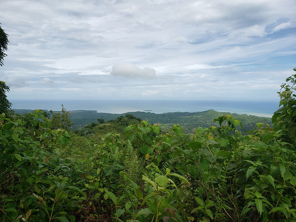 senderismo.republica.dominicana.greengordtours