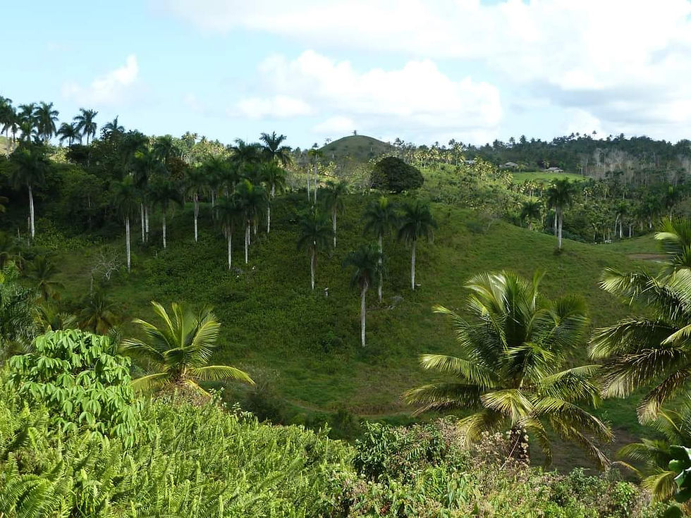randonnee.pedestre.republique.dominicaine.weekend.greengordtours