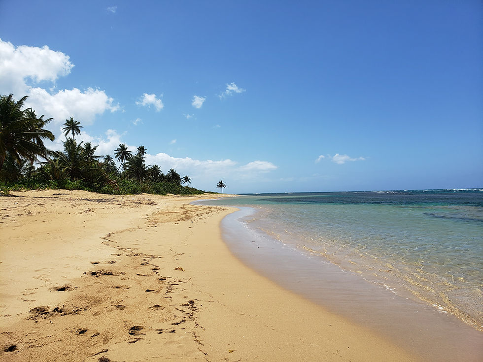 randonnee.pedestre.plage.republique.dominicaine.greengordtours.jpg