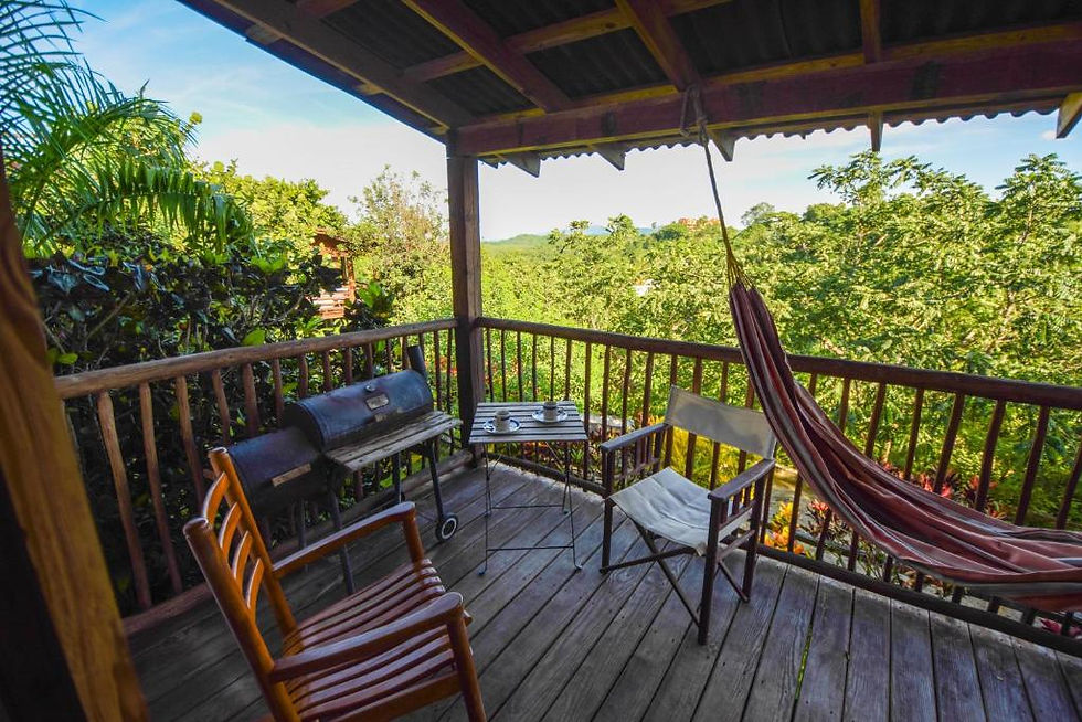 Ecolodge.randonnee.pedestre.republique.dominicaine.greengordtours