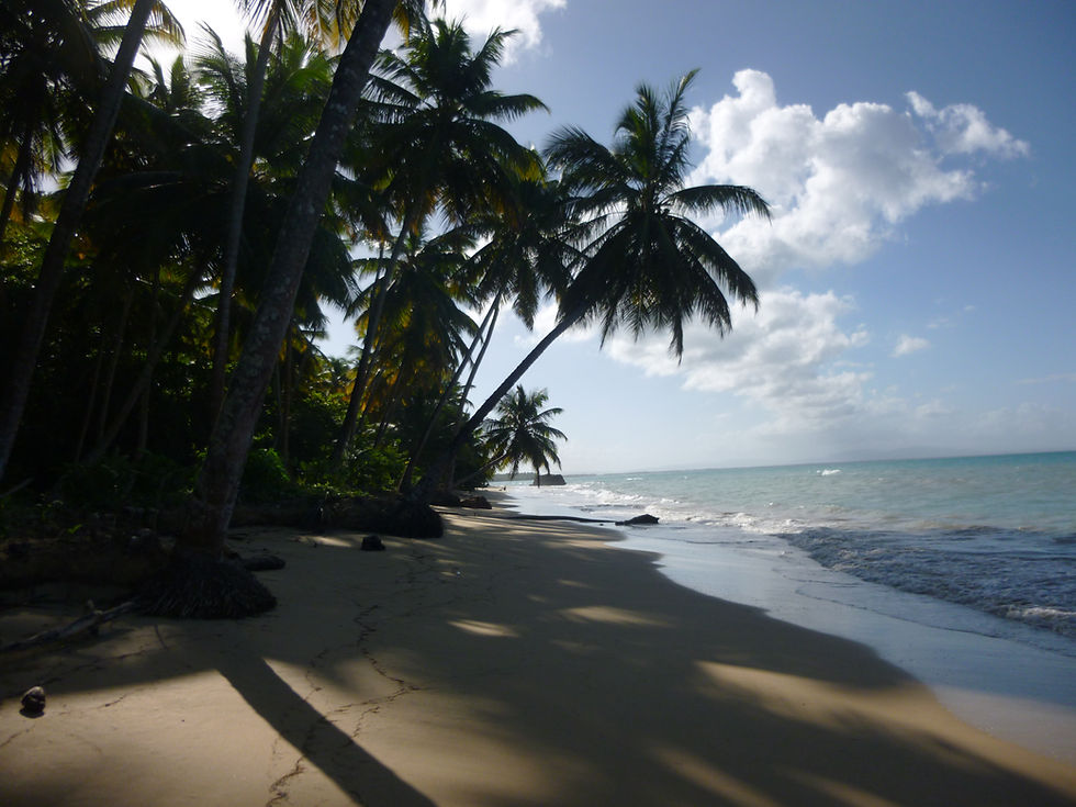 randonnee.pedestre.republique.dominicaine.greengordtours