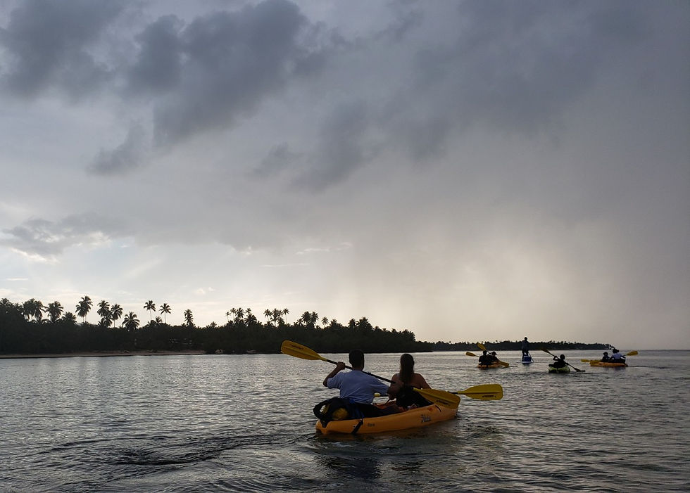 kayak.paddle.las.terrenas.excursion.jpg