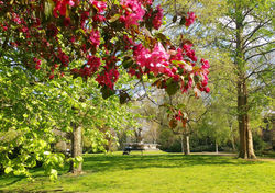 pp cal 26 06 may med res